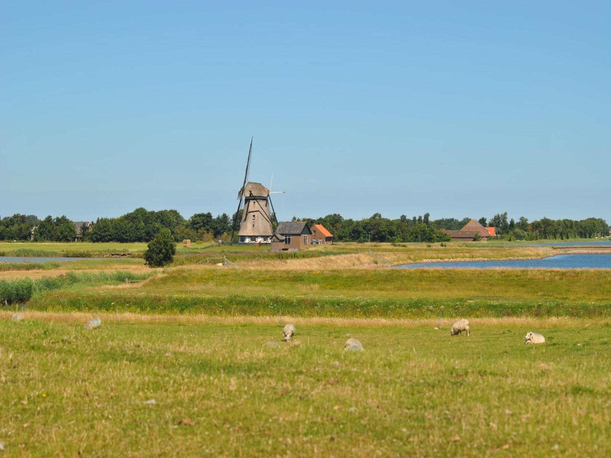 Lovely Holiday Home In Texel Near Sea Oost  Екстериор снимка