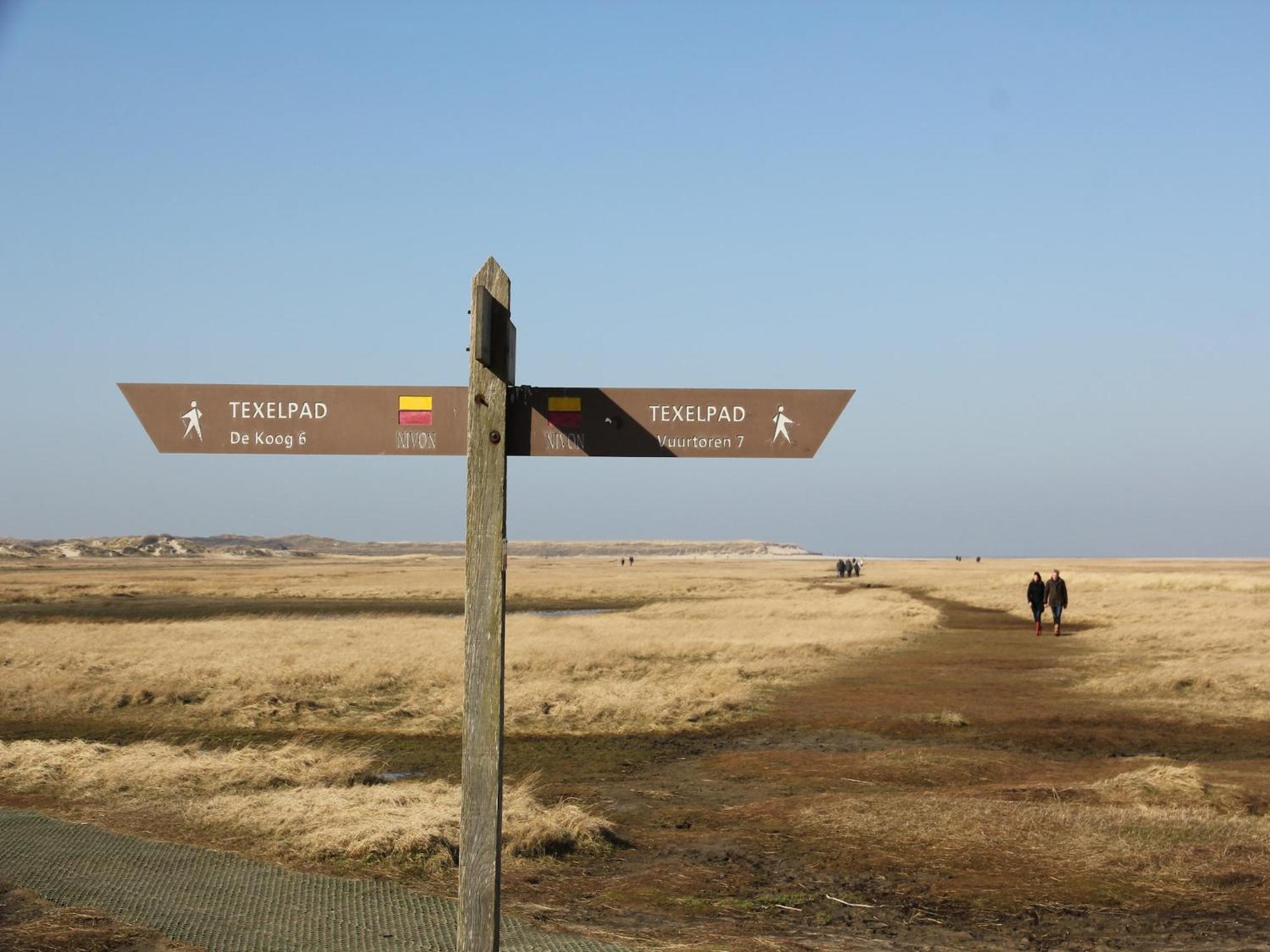 Lovely Holiday Home In Texel Near Sea Oost  Екстериор снимка