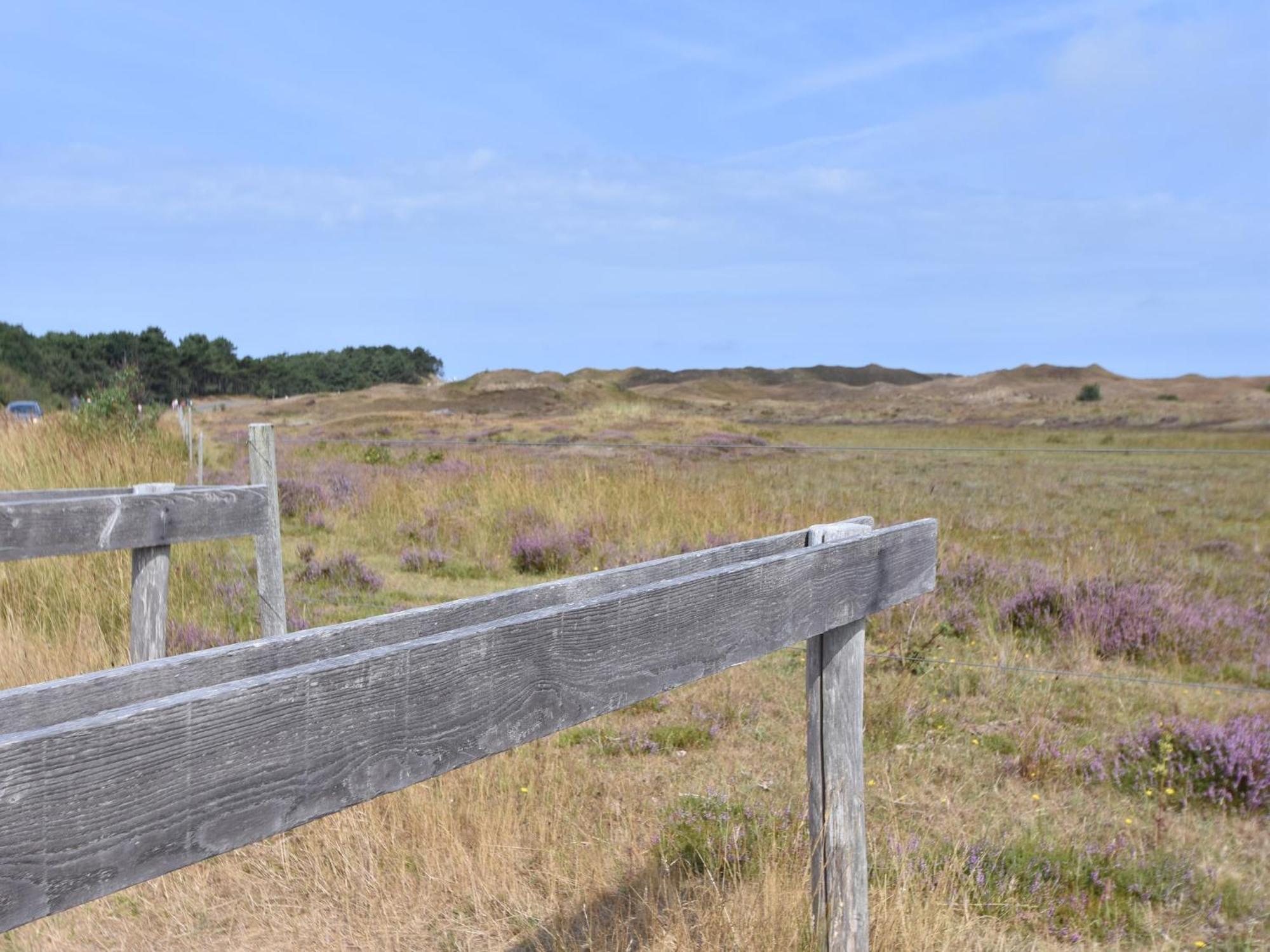 Lovely Holiday Home In Texel Near Sea Oost  Екстериор снимка