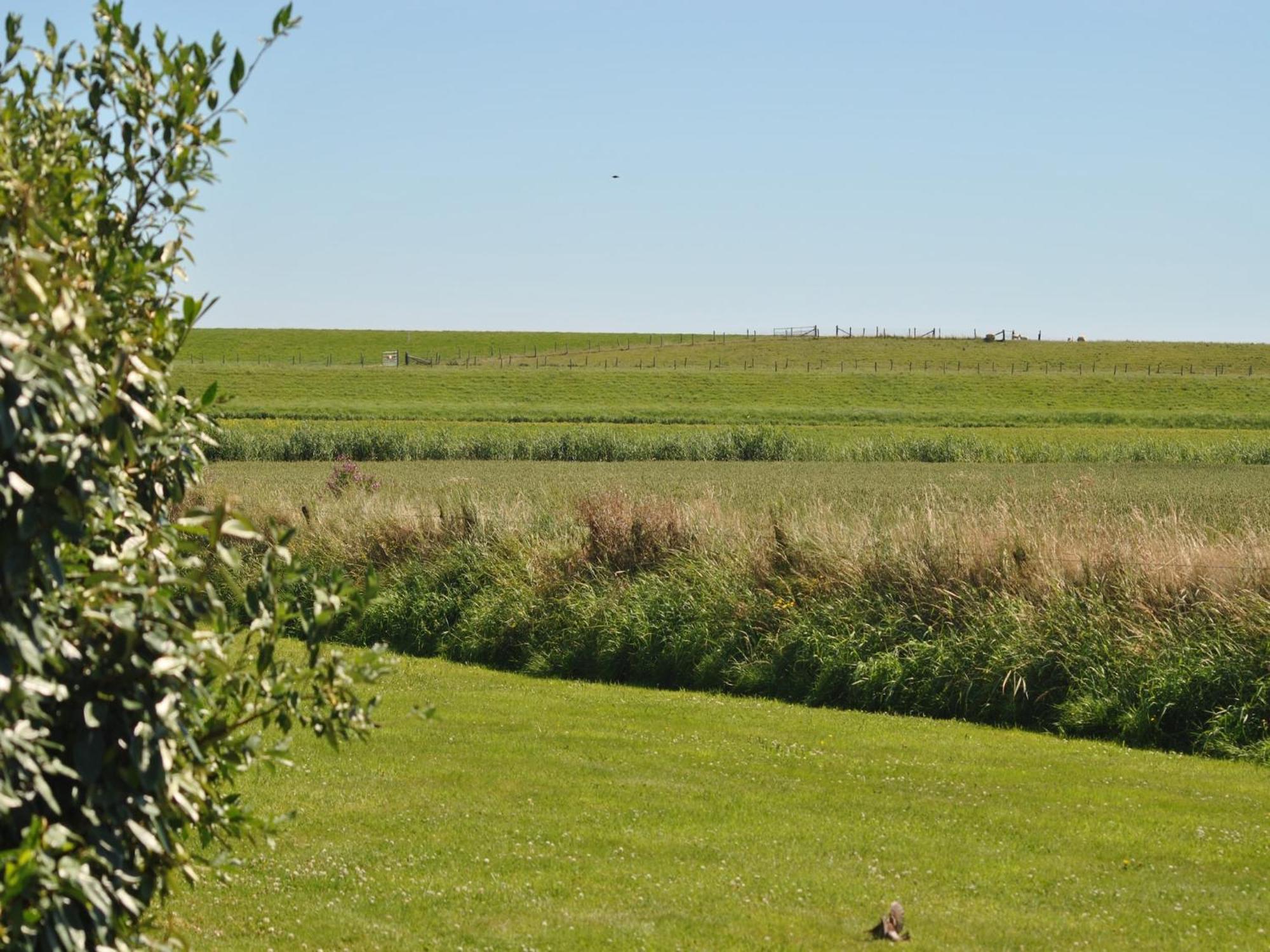 Lovely Holiday Home In Texel Near Sea Oost  Екстериор снимка